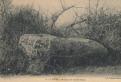 Dolmen du Terrier Pépin