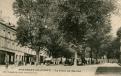 La Place du Marché - arbres