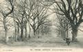 Avenue du Château de la Lande
