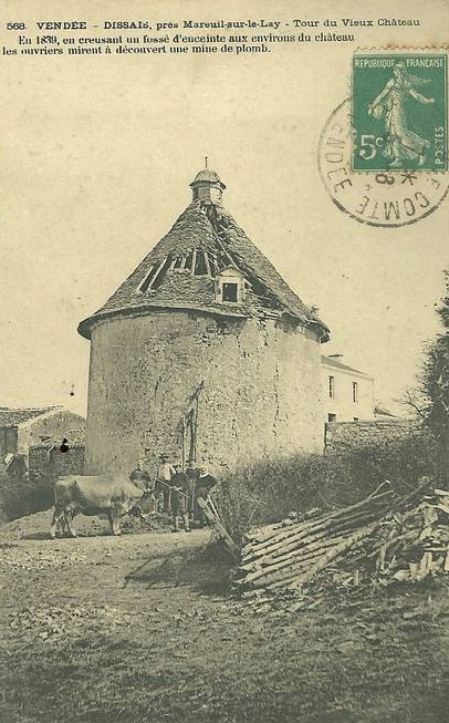 Dissais - Tour du Vieux Château