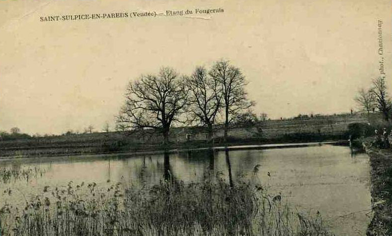 Etang du Fougerais