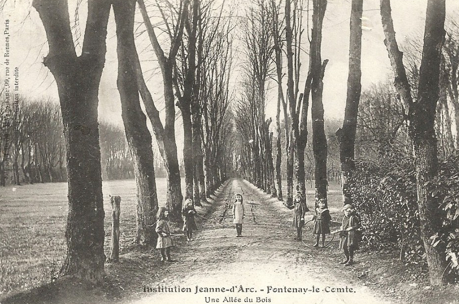 Institution Jeanne d'Arc - Une Allée du Bois