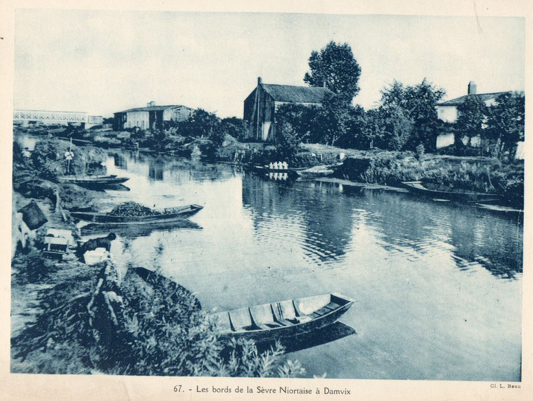 Les bords de la Sèvre Niortaise à Damvix