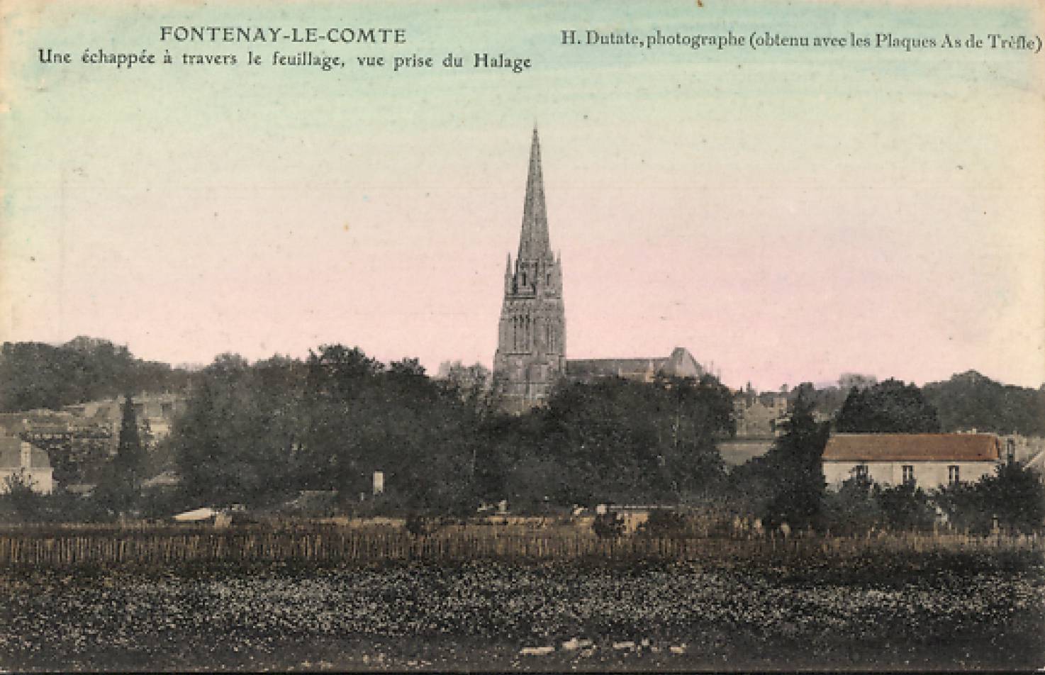 Une échappée à travers le feuillage-vue prise du Halage